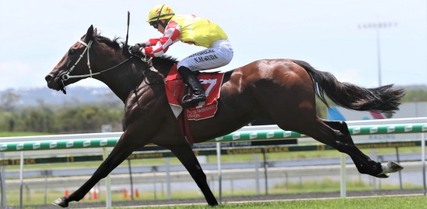 Queensland Derby an option for unbeaten Torrens