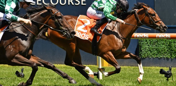 A Beautiful Night races into Blue Diamond Stakes