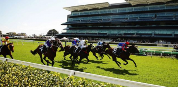 Expressway Stakes meeting transferred to Randwick