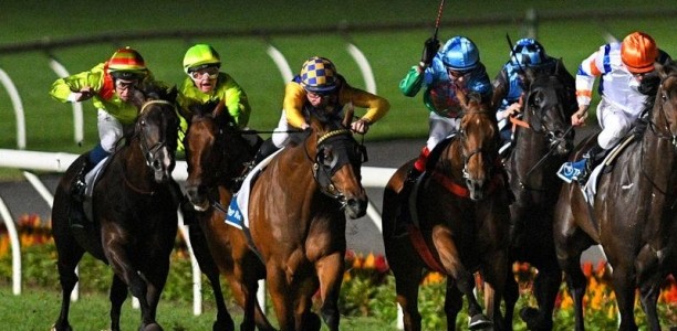 Riders cleared after Australia Stakes fall