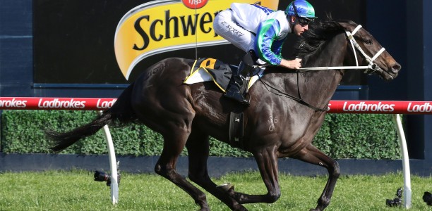 Acting set to sprint well fresh at Caulfield