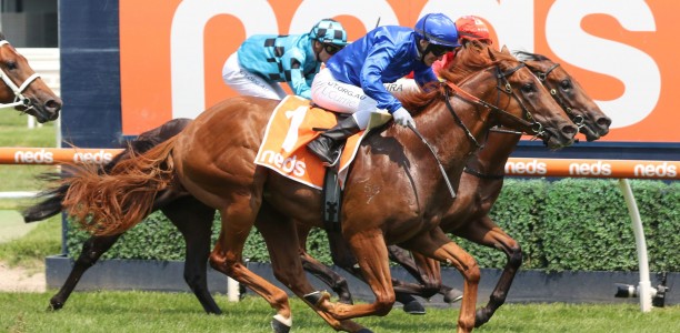 Likely Blue Diamond Stakes Field – 2020