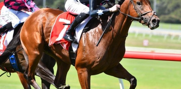 All-Star Mile hopeful unplaced at Sandown