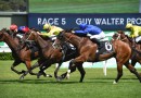 Dawn Dawn earns Group One Coolmore Classic start