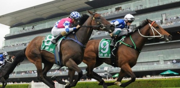 Mugatoo wins Listed Canberra Cup