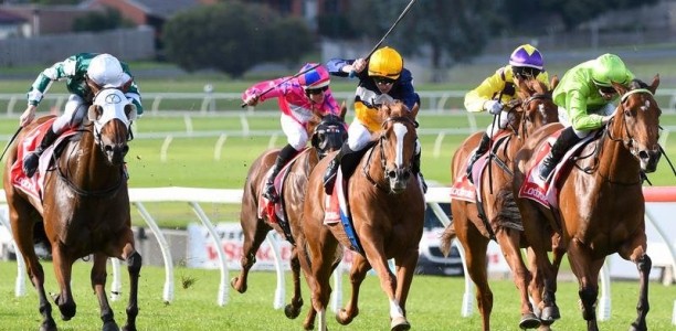 Bigger, stronger Talented wins at Sandown