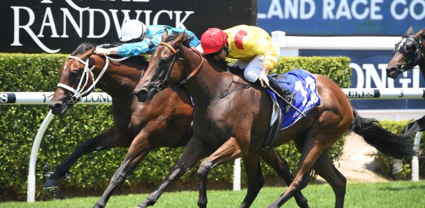 2YO’s race for remaining spots in Golden Slipper field