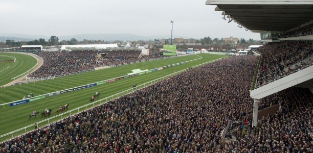 Oscar stays the distance at Cheltenham