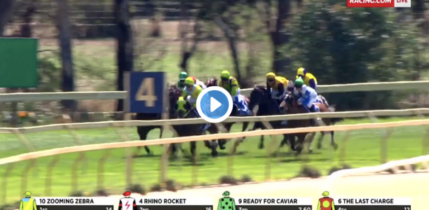 Watch: Black Caviar’s daughter runs second in debut