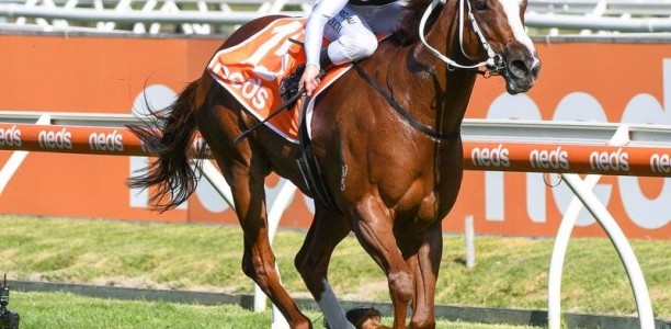 Pippie takes aim at G1 William Reid Stakes