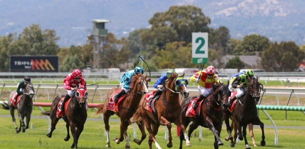 South Australian racing slashes prizemoney