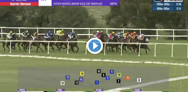 Muswellbrook Cup results and replay – 2020