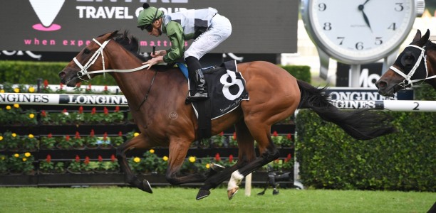 Likely Doncaster Mile Field – 2020