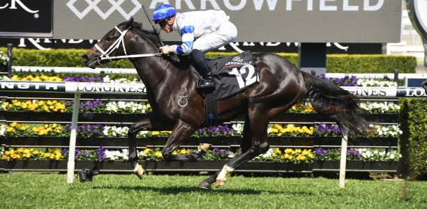 Debut winners head markets for the Magic Millions Classic