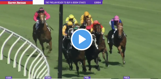 Phelan Ready Stakes results and replay – 2020