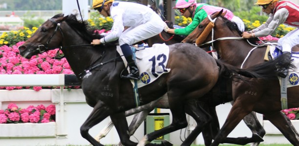 Golden Sixty’s odds shorten in Hong Kong Mile betting