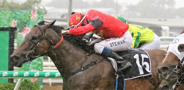 Ronnie Stewart one of Queensland’s most under rated jockeys