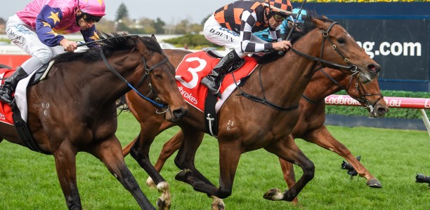 The Astrologist takes aim at the $1m Magic Millions Cup