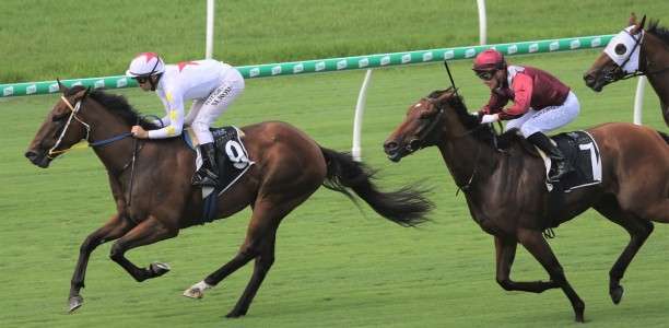 Michael Rodd rides winner for old master at Eagle Farm