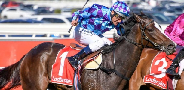 Perth Cup a wait and see for Melbourne raider