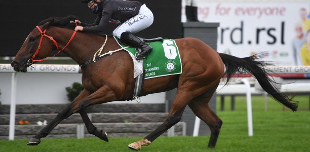 Joe Pride’s crazy mare is the Gosford Queen