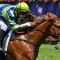 Abseiler earns shot to emulate sire in Blue Diamond Stakes