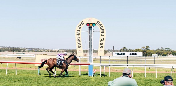 Strathalbyn Cup