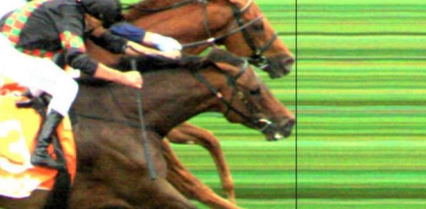 Stewards respond to controversial dead heat decision