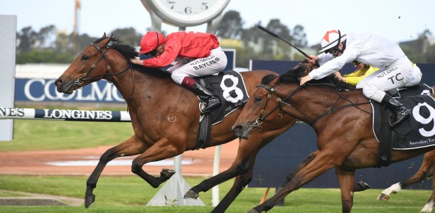 Star filly out of the Inglis Millennium field