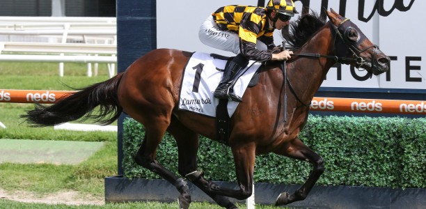 Probabeel’s odds slashed to win the Futurity Stakes