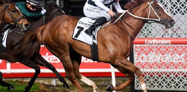 Pippie ready for flying Flemington finale