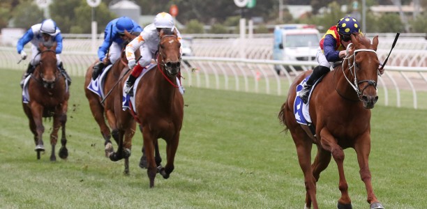 Black Caviar Lightning Stakes: Punters think its a match race