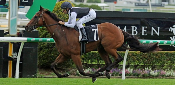 Tony Gollan trains four winners at Doomben