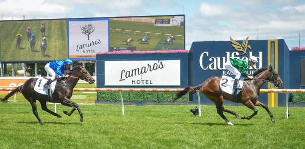 Capacity Field for the Blue Diamond Stakes