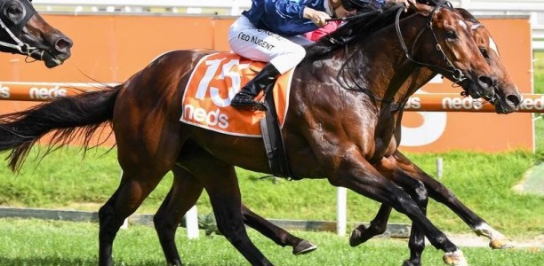 Queen and Sky share Oakleigh Plate honours