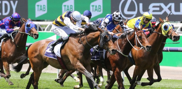 Launceston Cup punters Barade bookmakers