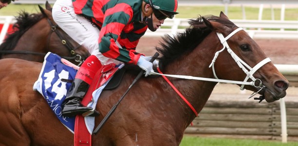 Craig Williams chasing Flemington G1 double