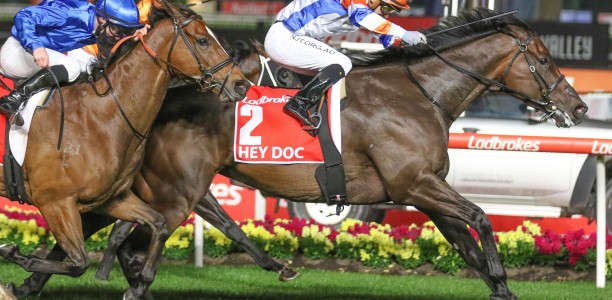 William Reid Stakes: Hey Doc ready to light up The Valley