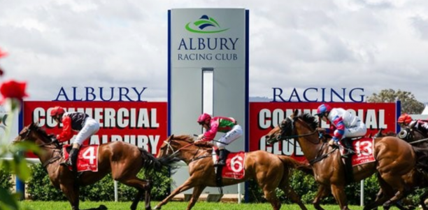 Albury Guineas