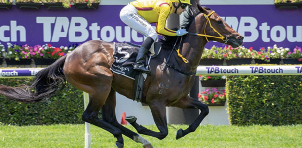 Perth sprinter Indian Pacific tackles William Reid Stakes