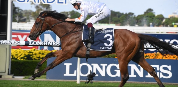 Golden Slipper winner Farnan retired