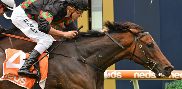 Caulfield Cup ticket the golden carrot in Mornington Cup