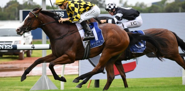 Golden Slipper long shot one to watch