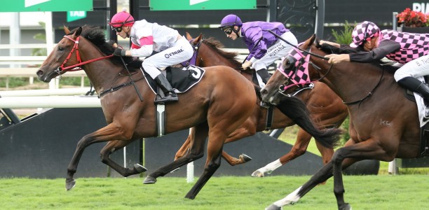 I’ve Bean There scores impressive win at Eagle Farm