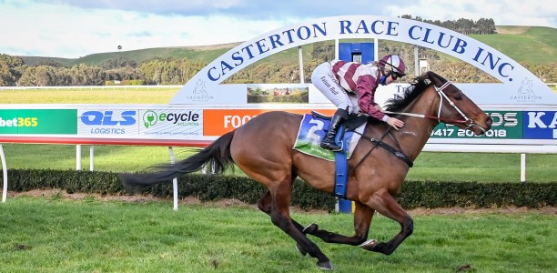 Casterton Steeplechase Field – 2021