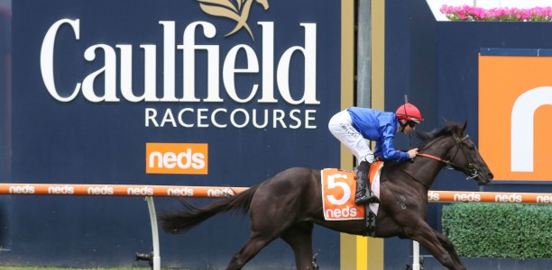 2022 Blue Diamond Stakes attracts 1594 nominations