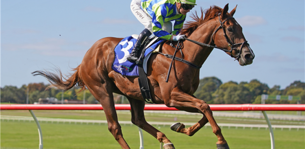 Beau Rossa on track for the G1 Memsie Stakes