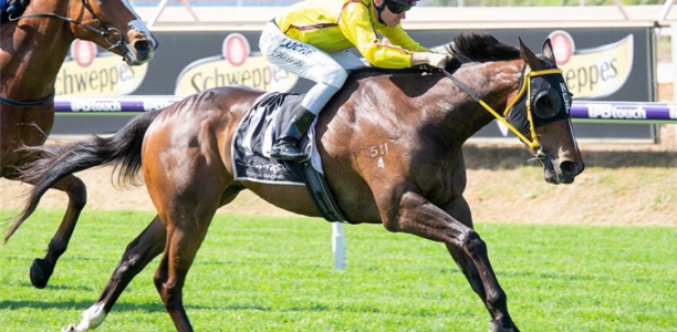 Scintillating to justify Newman Cup target