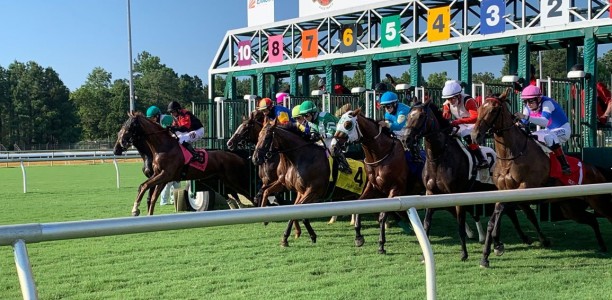 Virginia Derby on Turf at Colonial Downs