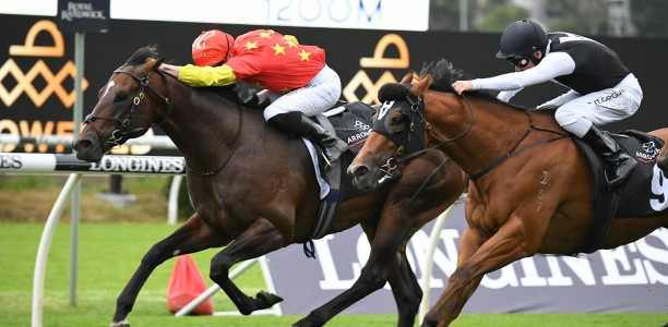 Punters back one to beat Nature Strip in Concorde Stakes